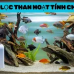 Bộ Lọc Than Hoạt Tính Cho Bể Cá