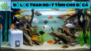 Bộ Lọc Than Hoạt Tính Cho Bể Cá