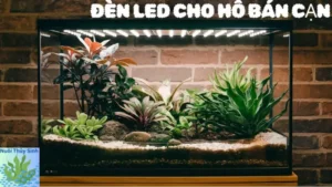 Đèn LED Cho Hồ Bán Cạn: Bí Quyết Chiếu Sáng Hiệu Quả